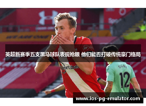 英超新赛季五支黑马球队表现抢眼 他们能否打破传统豪门格局