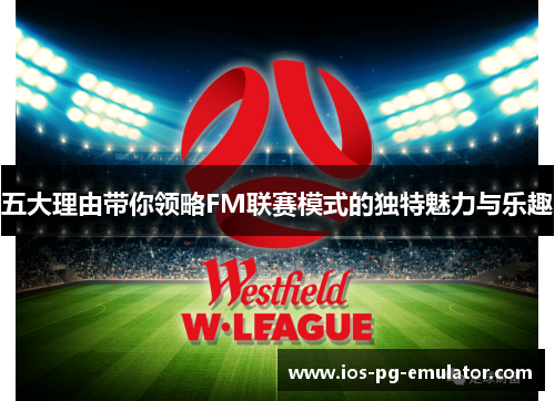 五大理由带你领略FM联赛模式的独特魅力与乐趣