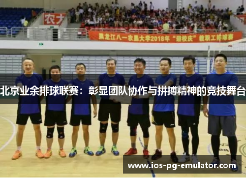 北京业余排球联赛:彰显团队协作与拼搏精神的竞技舞台 北京业余排球联赛:彰显团队协作与拼搏精神的竞技舞台