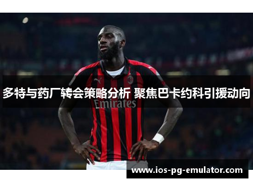 多特与药厂转会策略分析 聚焦巴卡约科引援动向 多特与药厂转会策略分析 聚焦巴卡约科引援动向