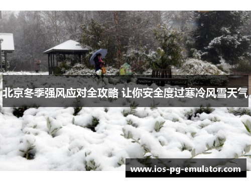 北京冬季强风应对全攻略 让你安全度过寒冷风雪天气 北京冬季强风应对全攻略 让你安全度过寒冷风雪天气