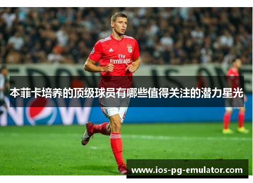 本菲卡培养的顶级球员有哪些值得关注的潜力星光 本菲卡培养的顶级球员有哪些值得关注的潜力星光
