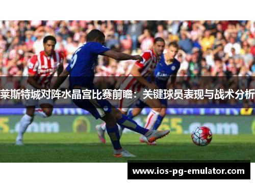 莱斯特城对阵水晶宫比赛前瞻:关键球员表现与战术分析 莱斯特城对阵水晶宫比赛前瞻:关键球员表现与战术分析