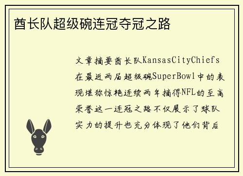 酋长队超级碗连冠夺冠之路